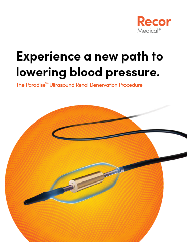 The Paradise Ultrasound Renal Denervation Procedure therapy development brochure